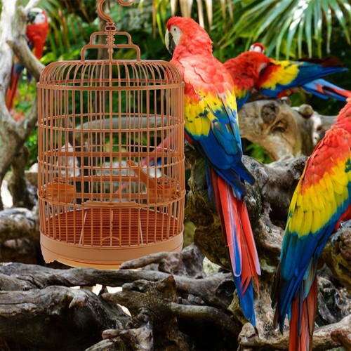 Gabbietta per uccelli gabbia - ,