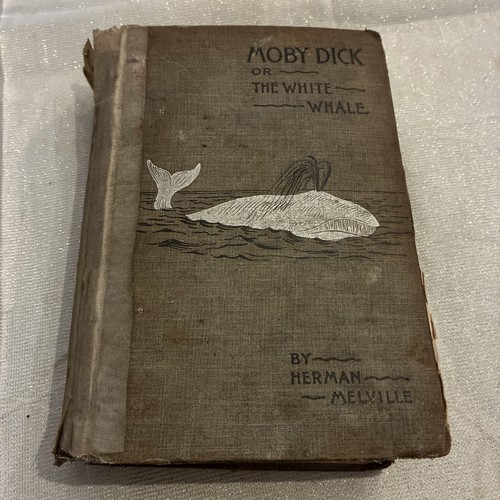 1892 moby dick the white - moby,