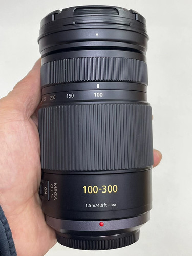 Panasonic lumix vario - g,