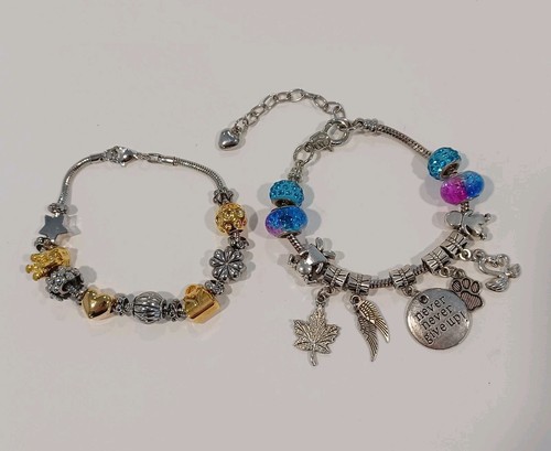 Due bracciali charm tono
