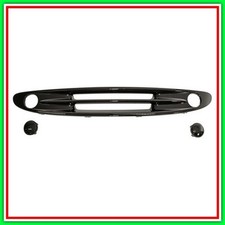 Griglia Radiatore Verniciata