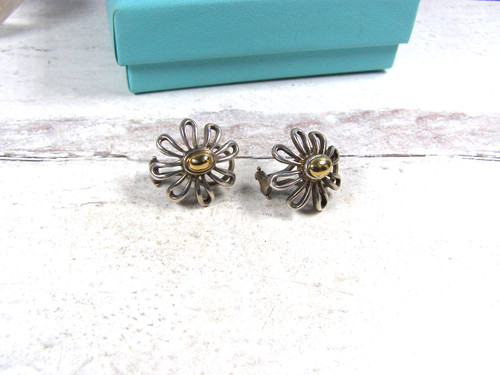 Orecchini argento sterling 750