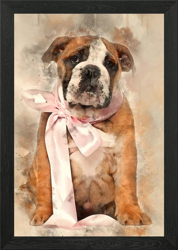 English bulldog puppy an - bulldog,