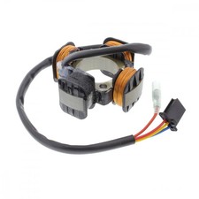 Statore alternatore 101 ottani