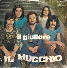 IL MUCCHIO - IL GIULLARE / LEI