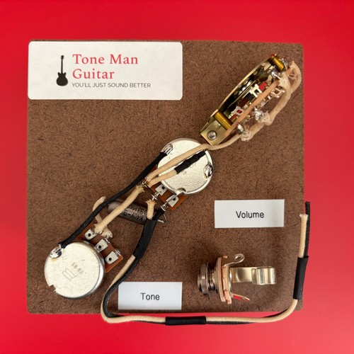 The blues telecaster anni - blues,