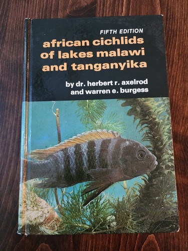 African cichlids lakes - african, of