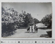 I123393 Cartolina - Reggio Calabria - Siderno Marina - Villa Comunale - VG 1960