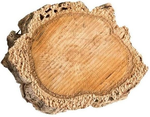 Dischi legno con - legno,
