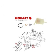 Ducati Monster 400 600 750 900 base serbatoio guarnizione filtro carburante
