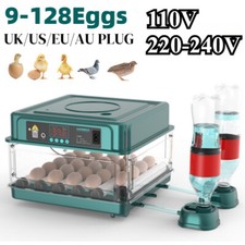 Incubatrice automatica uova