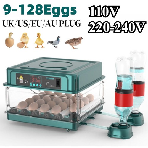 Incubatrice automatica uova