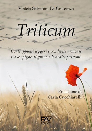 Triticum contrappunti leggeri - triticum.,