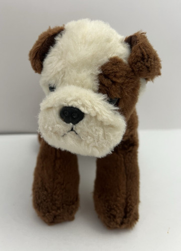 Aurora bulldog boxer cucciolo - aurora,