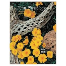 Plant Physiology and