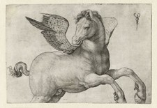 Jacopo de' Barbari: "Pegaso"