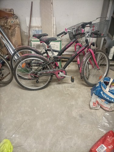 Bicicletta donna - bicicletta,