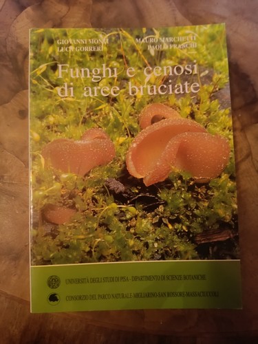 Funghi cenosi aree - funghi,