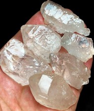 137g 6PCS Himalayano RARO