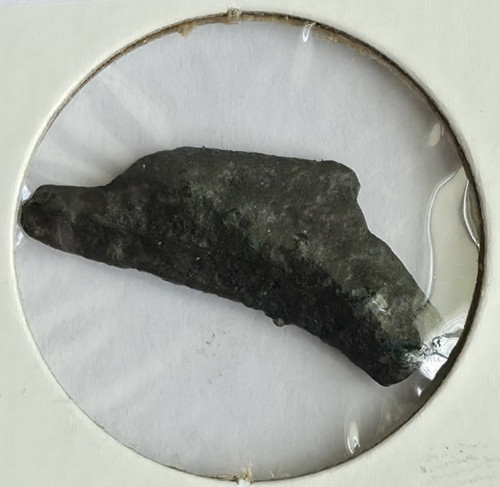 Sarmatia olbia tracia - tracia,, v