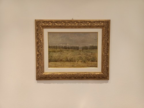 Alberto cecconi firenze - cecconi, (firenze