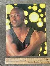 Michael Jordan Pinup Chicago
