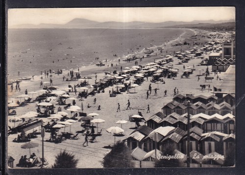 Cartolina senigallia - cartolina, la