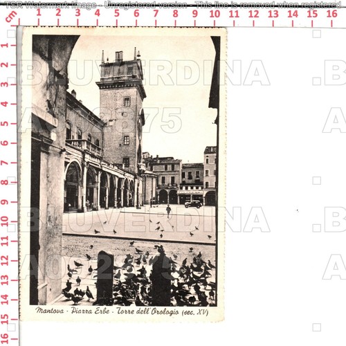 A2875 mantova citta 1940 - a2875,