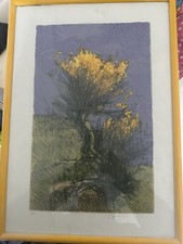 Giancarlo Cazzaniga Fiori