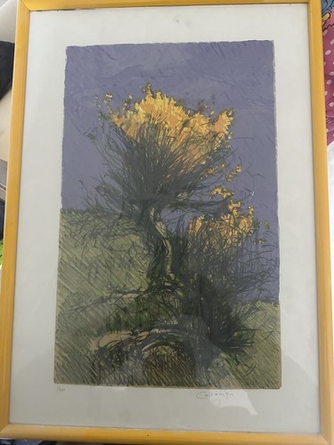 Giancarlo cazzaniga fiori - giancarlo,