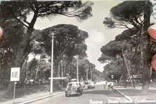 8 CARTOLINE FREGENE prov. ROMA