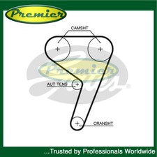 Cinghia distribuzione premier - cinghia,