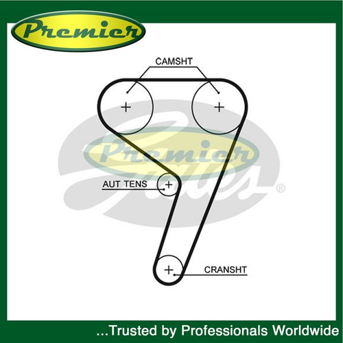 Cinghia distribuzione premier - distribuzione,
