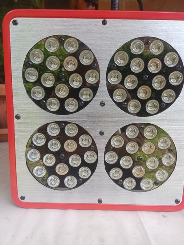 Lampada led light per - lampada, in