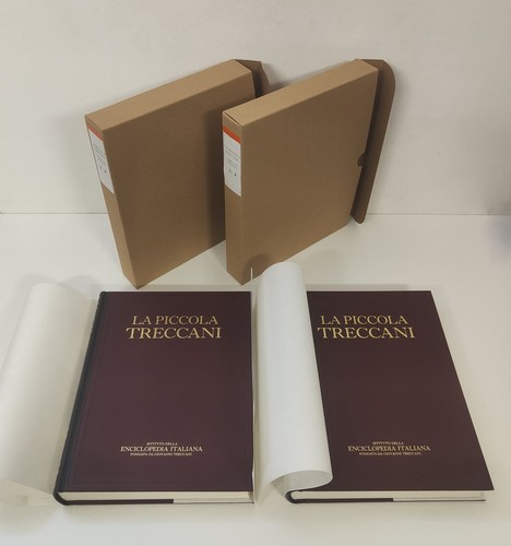 Piccola treccani lessico - piccola,