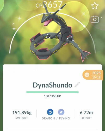 Pokémon shiny rayquaza - ✨pokémon, go