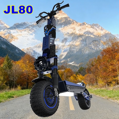 Big type 45mph 6000w adult - type,
