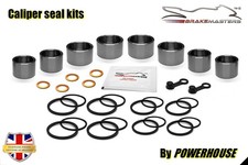 Kit revisione pinza freno