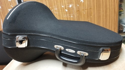 Custodia rigida per corno