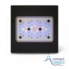 Ecotech Radion XR15 Blu Gen 6