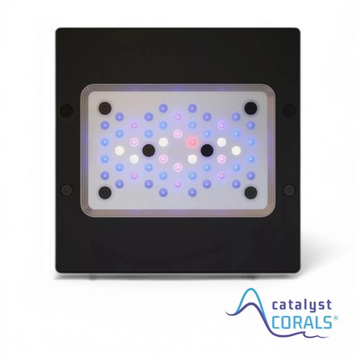 Ecotech radion xr15 blu gen - radion,