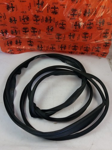 Guarnizione lunotto 156020463 - ,