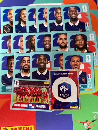Choix france panini - au,