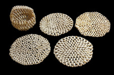 Scultura di conchiglie oggetto