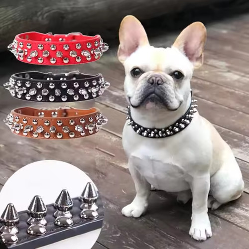 Collare cane pelle borchiata - , a