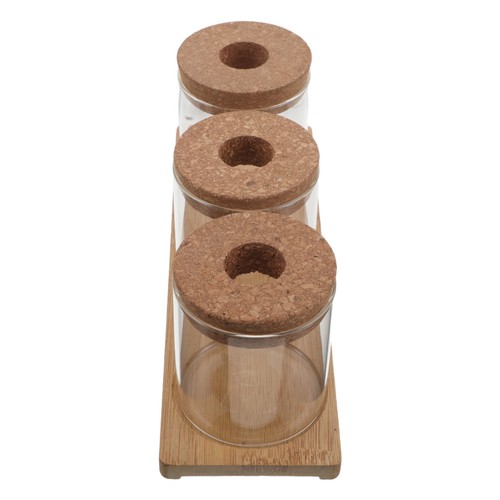 Vaso bottiglia piante - ,
