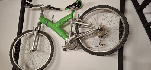 Mountain bike verde usata