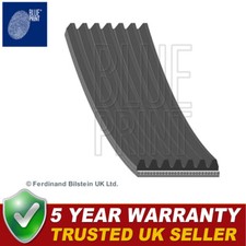 Cinghia alternatore stampa blu