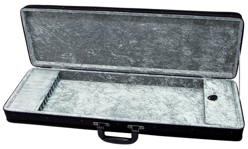Strumenti corda vari - strumenti,