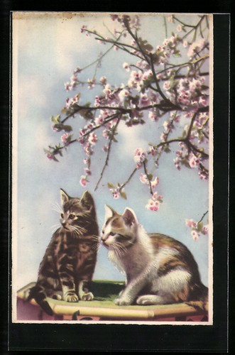 Due gatti sotto albero - gatti,
